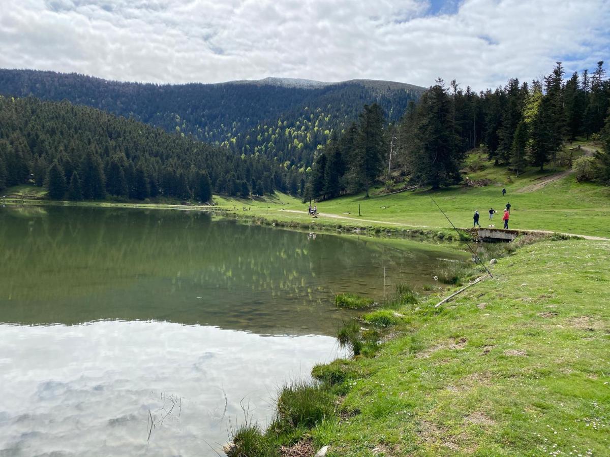 Gite Chaleureux Au Lac De Payolle Campan Exteriér fotografie